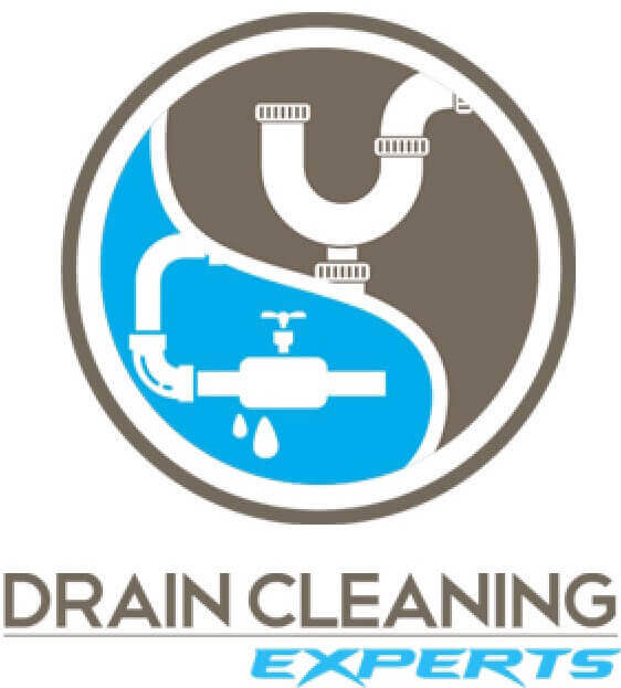 drain cleaning expert