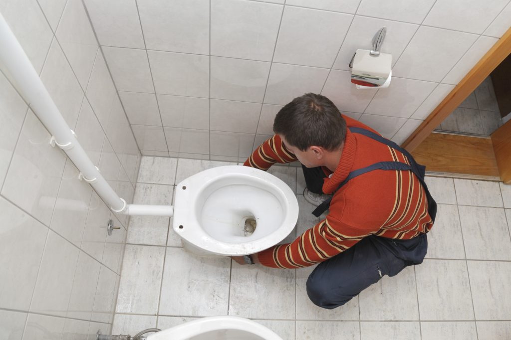 Toilet Repair and Replacement in Winter Gardens, California (8547)